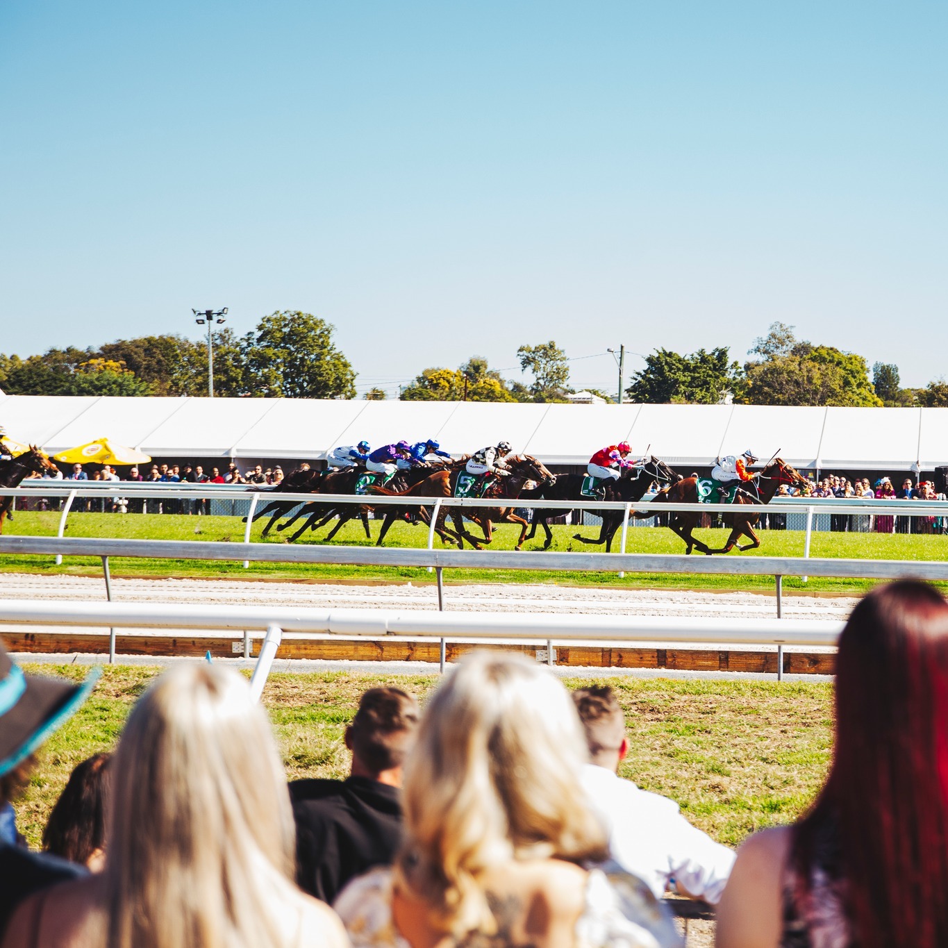 Live Horse Racing at the Infield